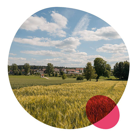 Blick auf das Stiftungsgelände in Heiligenbronn über Kornfelder hinweg