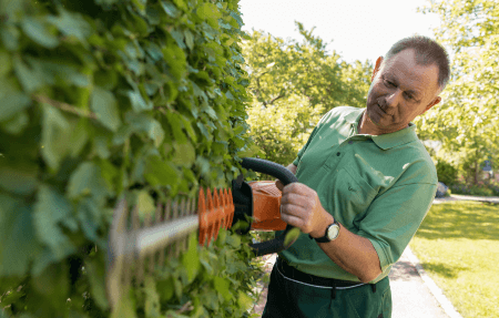 Mitarbeiter mit elektrischer Gartenschere an einer Hecke arbeitend